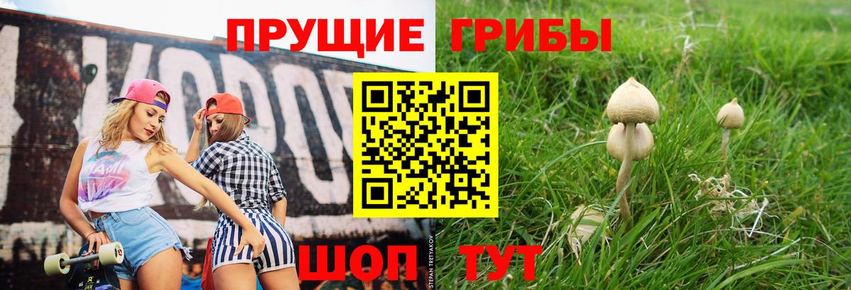 Галлюциногенные грибы прущие грибы Урус-Мартан